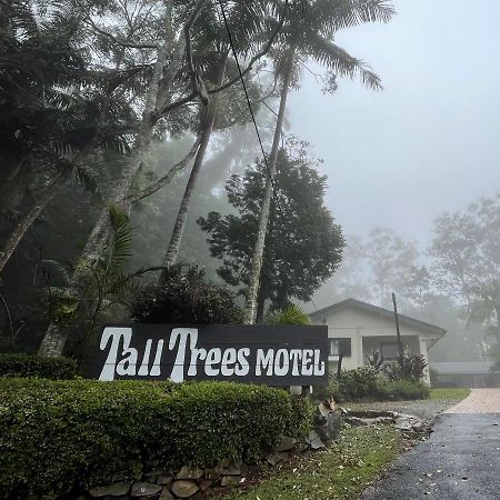 Tall Trees Motel Mountain Retreat Mount Tamborine Bagian luar foto