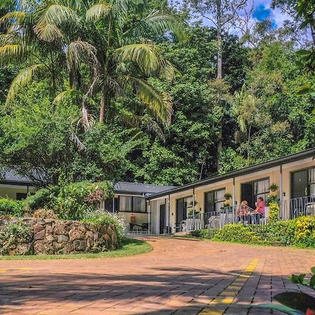 Tall Trees Motel Mountain Retreat Mount Tamborine Bagian luar foto