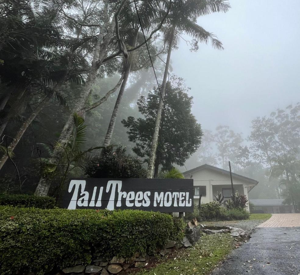 Tall Trees Motel Mountain Retreat Mount Tamborine Bagian luar foto