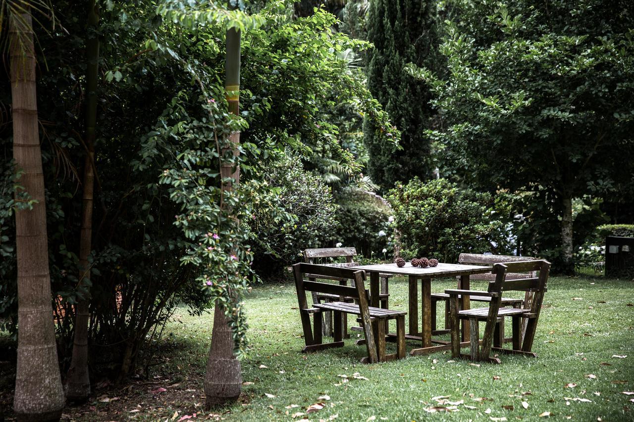 Tall Trees Motel Mountain Retreat Mount Tamborine Bagian luar foto